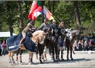 Pferd International 193